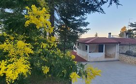 Mercadante - Luxury Holiday House