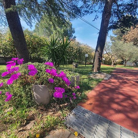 Mercadante - Luxury Holiday House Cassano delle Murge Esterno foto