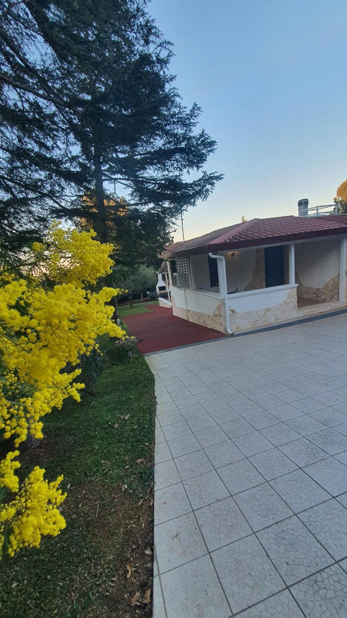 Mercadante - Luxury Holiday House Cassano delle Murge Esterno foto