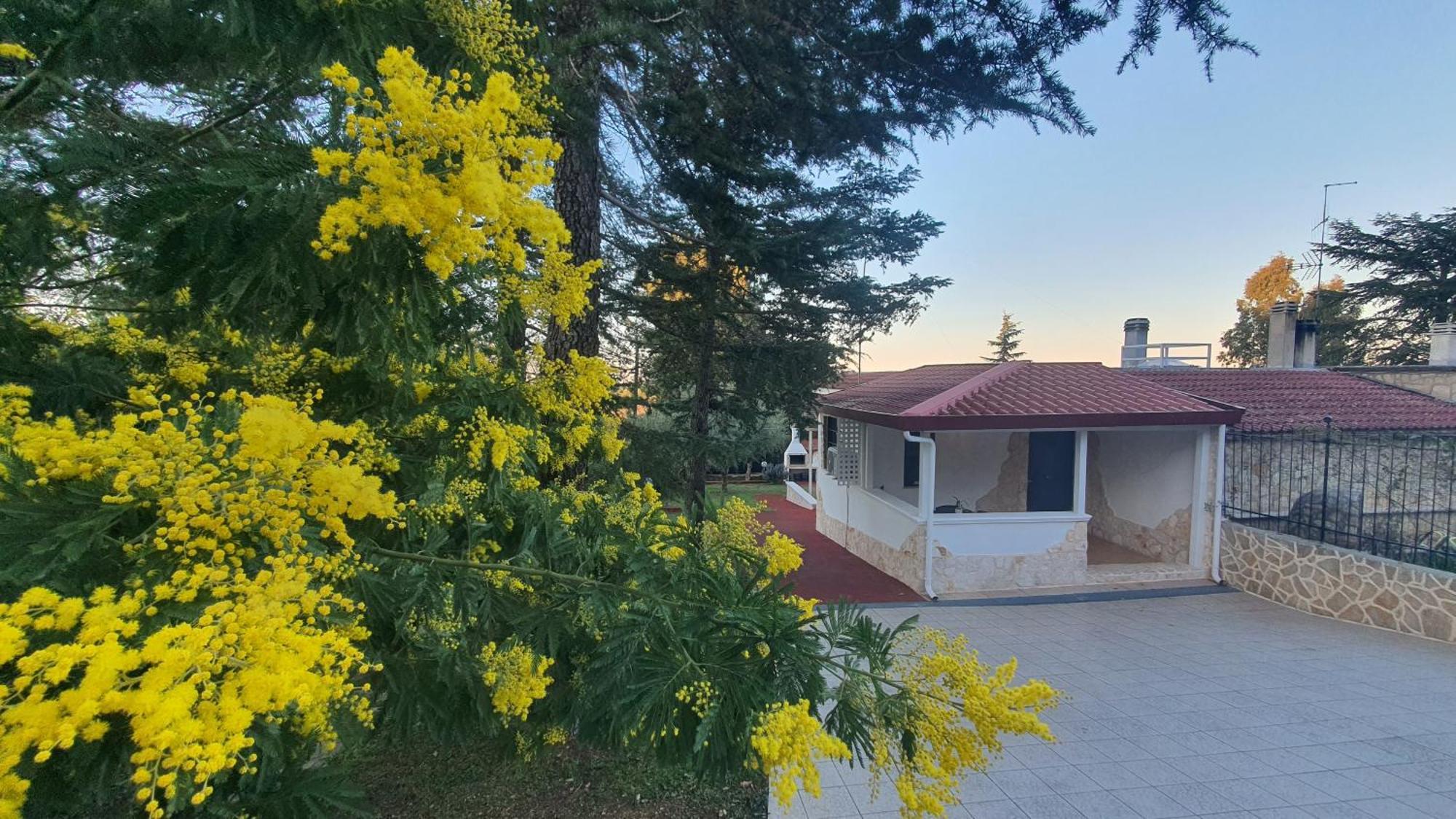 Mercadante - Luxury Holiday House Cassano delle Murge Esterno foto