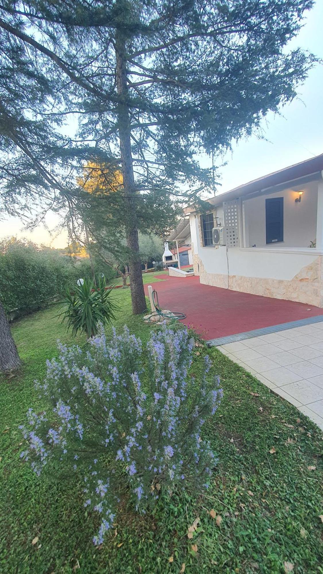 Mercadante - Luxury Holiday House Cassano delle Murge Esterno foto