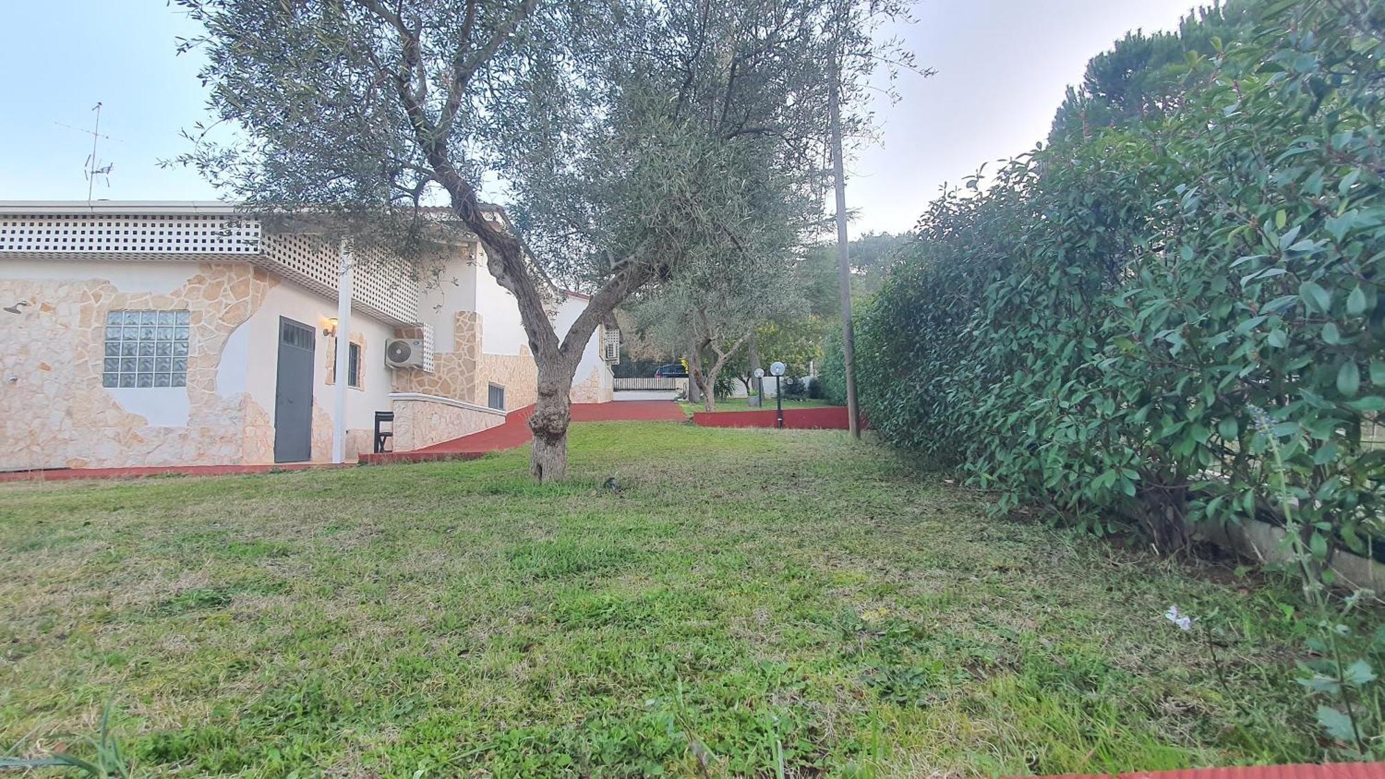 Mercadante - Luxury Holiday House Cassano delle Murge Esterno foto