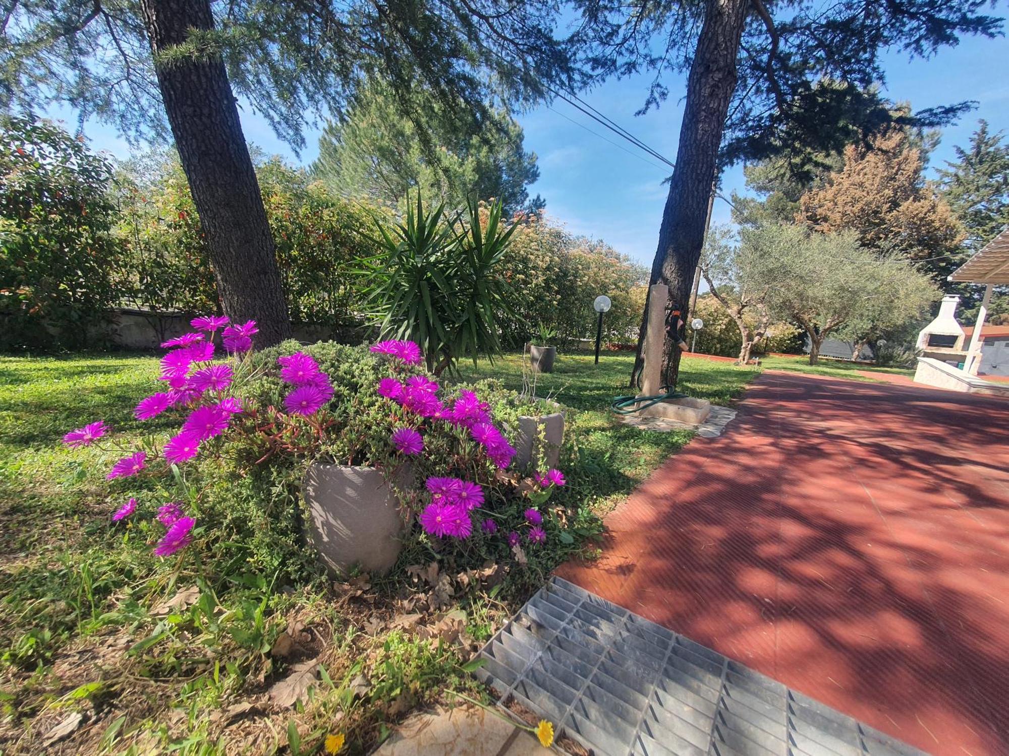 Mercadante - Luxury Holiday House Cassano delle Murge Esterno foto